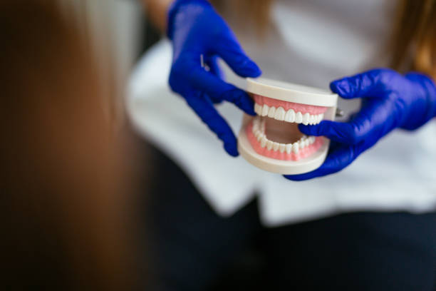 Best Dental Exams and Cleanings  in Falmouth, KY